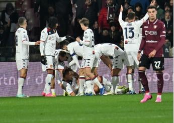 Salernitana, la decisione del Giudice Sportivo: multa da 40mila euro per lancio di oggetti in campo