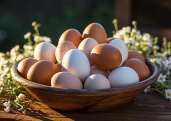 Chi ha il colesterolo alto può mangiare le uova: quali sono i rischi reali?