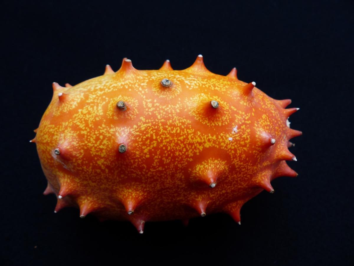 Cos’è e come si mangia il kiwano