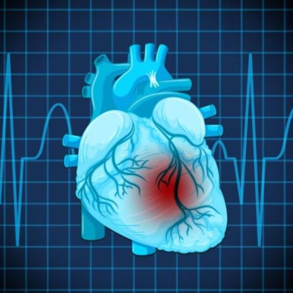 Quale attività fisica è adatta ai cardiopatici? Ecco come proteggere il cuore attraverso l’esercizio