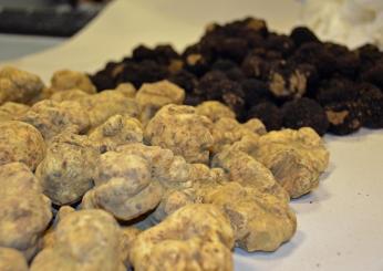 Al via la 22esima Sagra del Tartufo a Campovalano di Campli: date, programma e menù