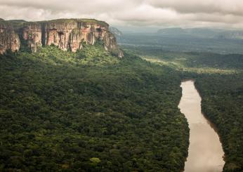 Amazzonia, Paesi sudamericani alleati contro la deforestazione