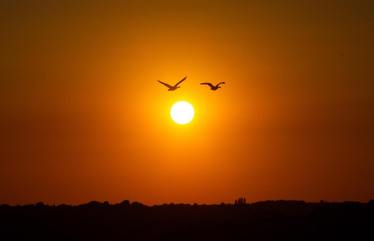 Buco dell’ozono, l’allarme dell’Esa: “Tra agosto e settembre cresci…