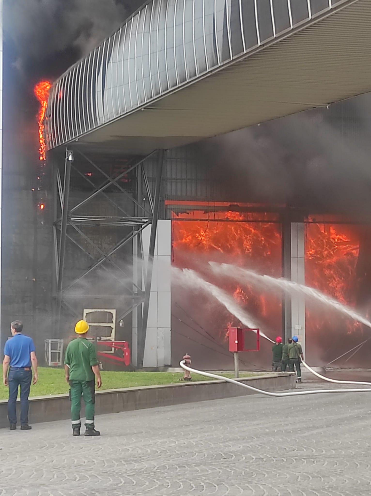 Allarme incendi, Coldiretti scrive a Draghi: “Triplicato il numero dei roghi, subito lo stato di emergenza”