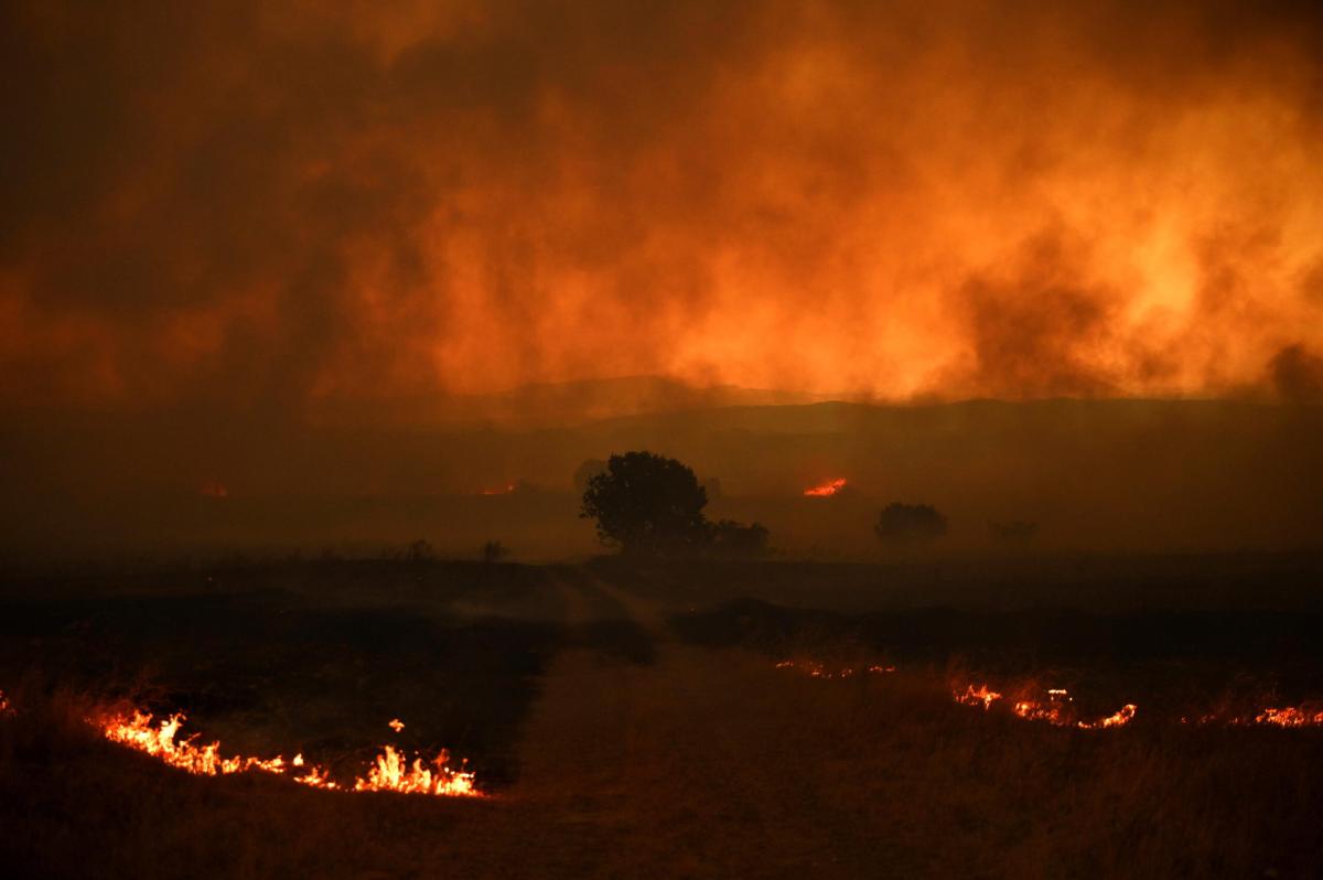 Incendi in Grecia, il bilancio dei morti sale a 21 persone, paese a…