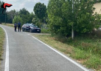 Reggio Emilia, trovato cadavere nelle campagne: potrebbe essere Gaetano Impellizzeri