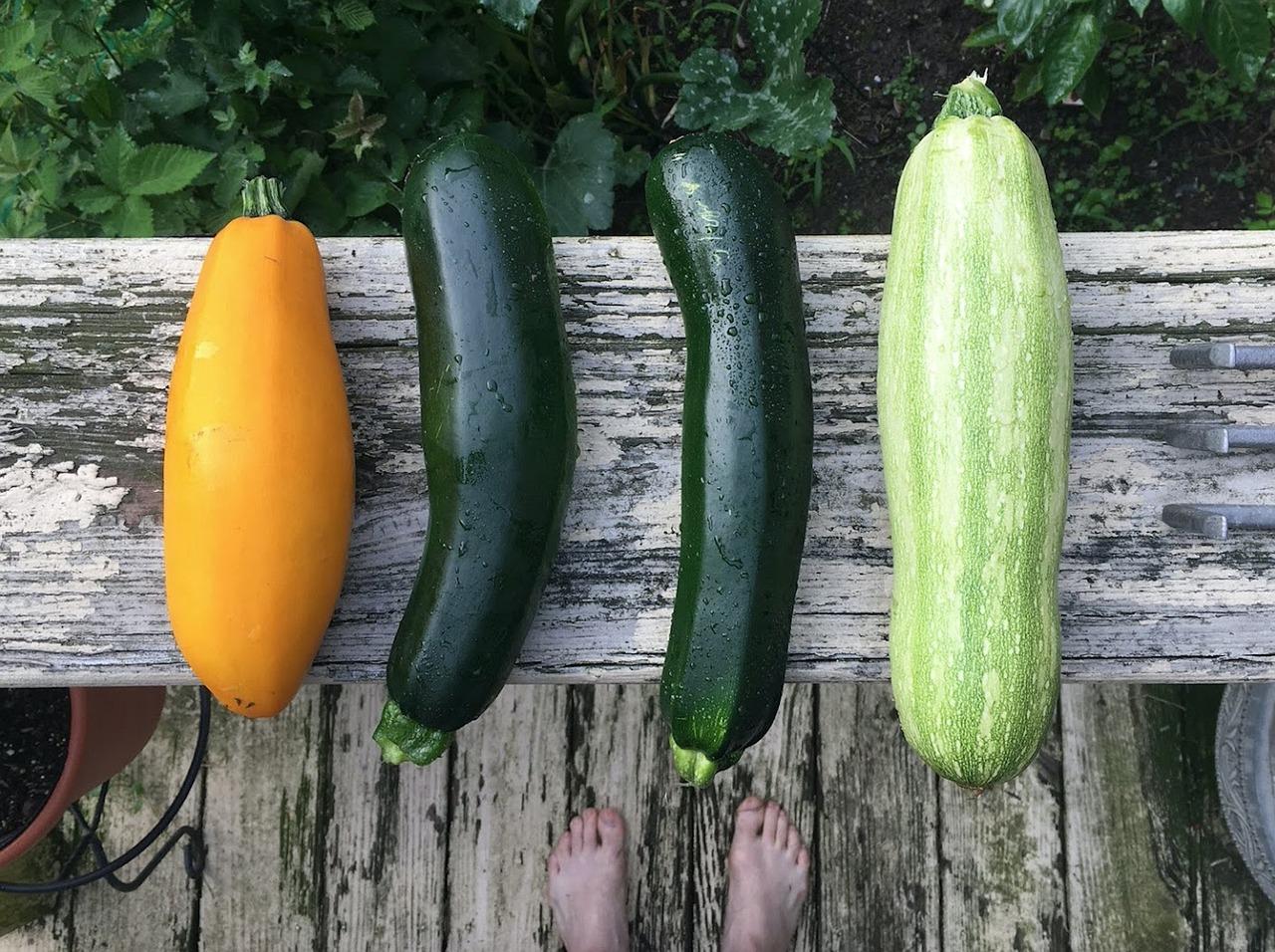 come cucinare le zucchine in modo diverso