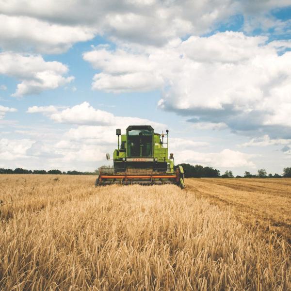 Esenzione Irpef agricola, doppio limite di reddito per lo sconto