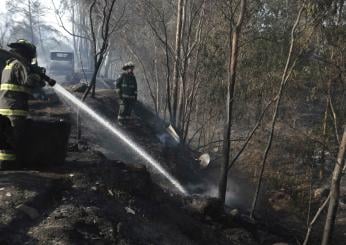 Cile, lotta contro gli incendi boschivi: dichiarato lo stato di emergenza