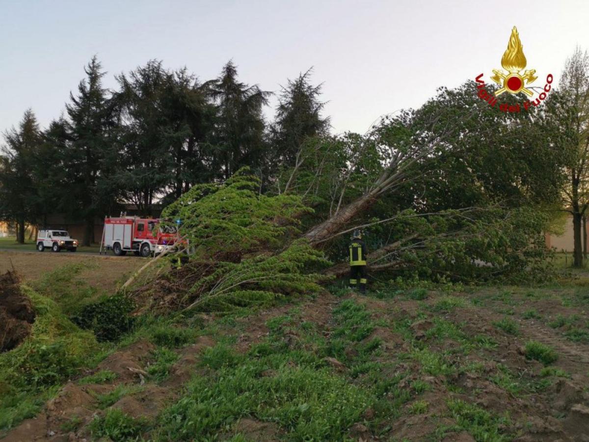 Maltempo, violenta tromba d’aria a Bologna e grandine improvvisa in…