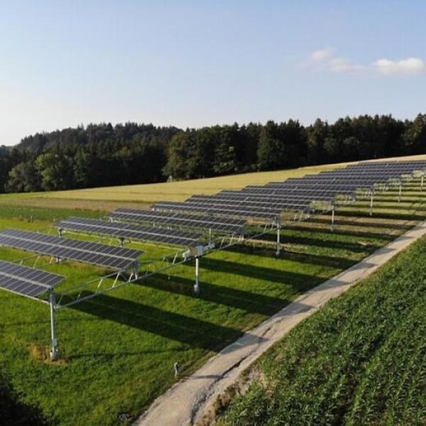 Bonus agrivoltaico innovativo 2024, nuovo decreto ministero Ambiente: chi può chiedere gli incentivi e per cosa