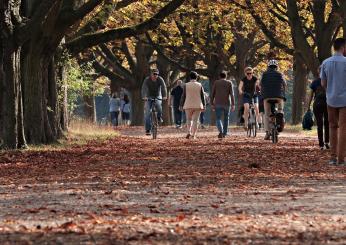 Pensione a 61 anni confermata nel 2025? Occhio a queste 4 misure: l’INPS chiede due requisiti, potresti averli (e non saperlo)