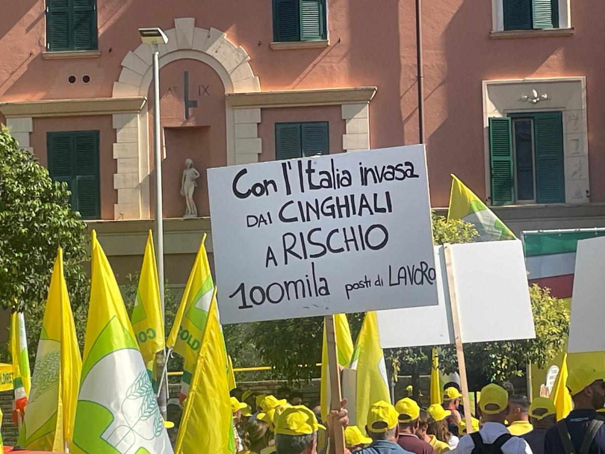 Emergenza cinghiali a Roma, la manifestazione di Coldiretti Lazio: “Serve una legge per l’abbattimento” | VIDEO