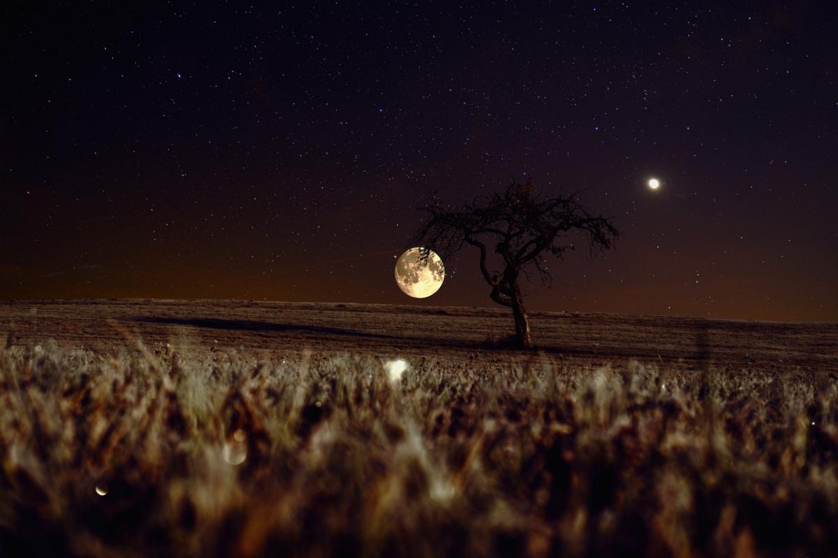 Luna piena del Castoro oggi 27 novembre 2023: a che ora vederla?