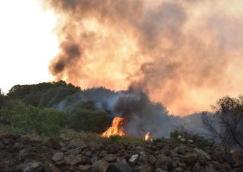 Sardegna in fiamme. Nel Nuorese case evacuate per un grosso incendio a Posada oggi: paura a La Caletta. Stop al traffico sulla 131, Canadair in azione