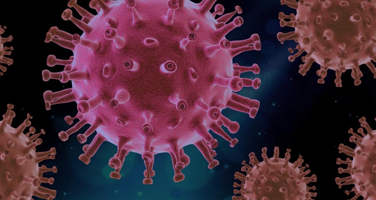 Influenza suina H1N1, Prof. Bassetti: “Il maiale non c’entra con il virus. Bisogna vaccinarsi”