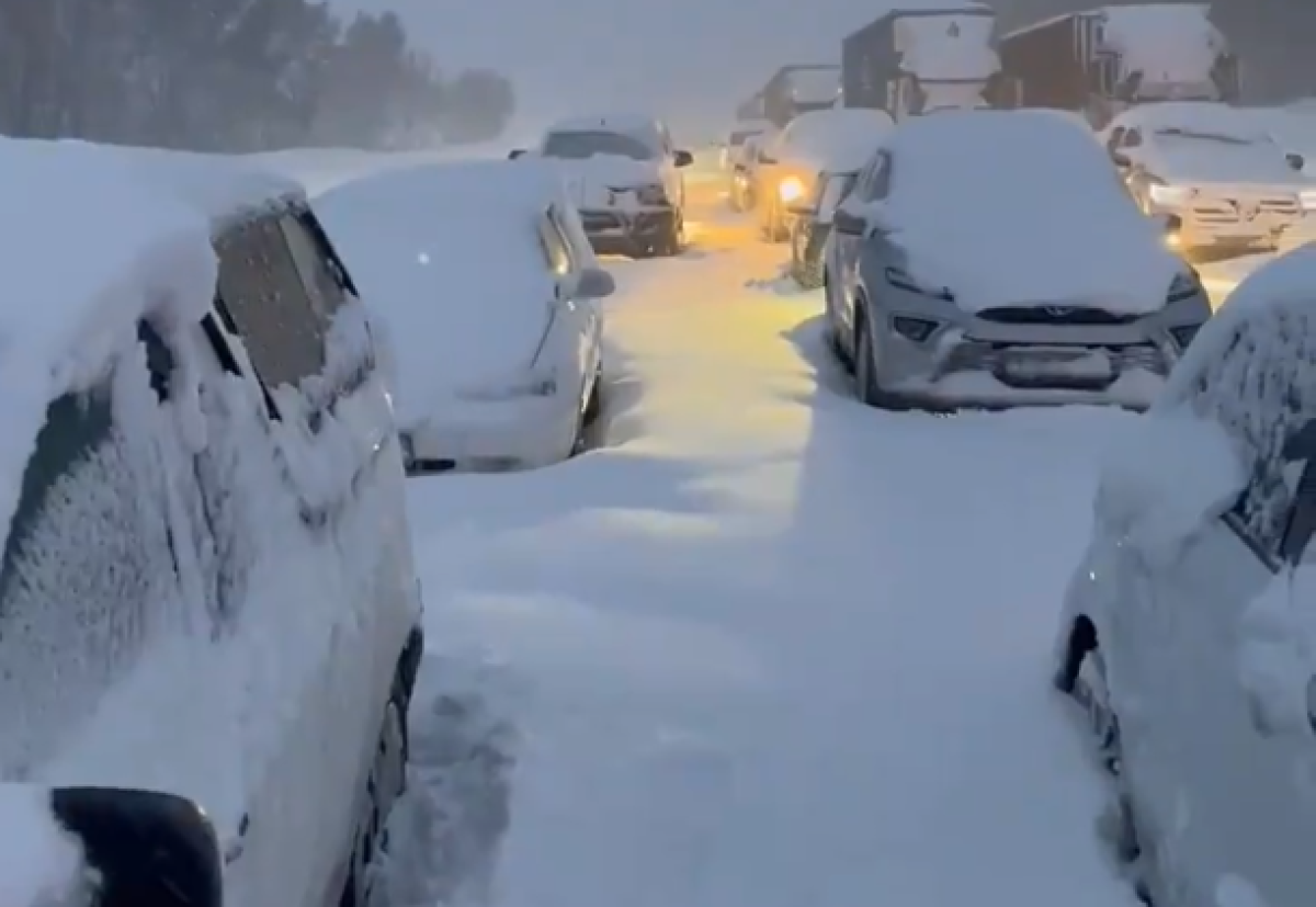 Neve in Sudafrica, l’evento anomalo paralizza il Paese: cumuli alti 2 metri e un morto | VIDEO e FOTO