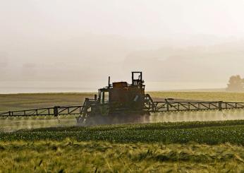 Pordenone, pesticidi pericolosi per la salute: la polemica dei medici ambientali nel caso del Clorpirifos