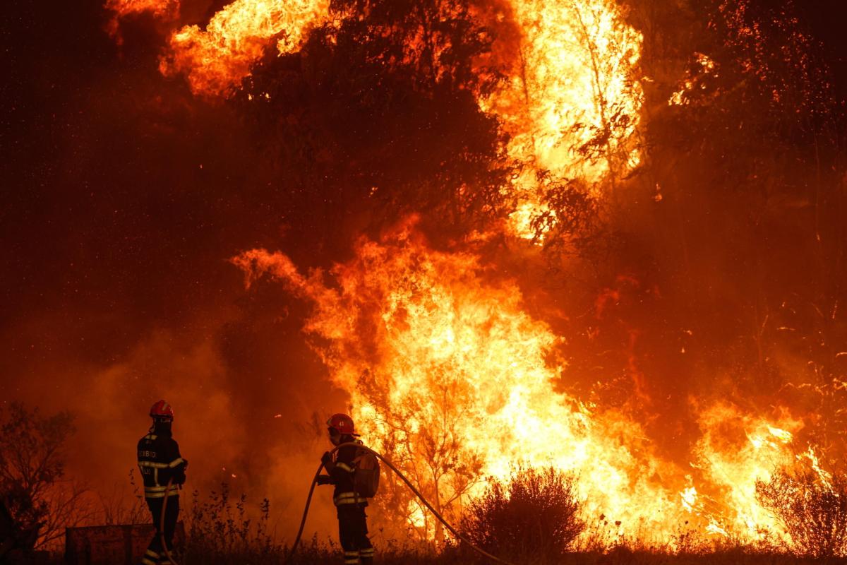 Incendi in Italia, i numeri del 2023 sono da incubo: bruciati migli…