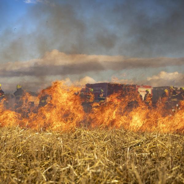 Incendio Gravina in Puglia, Rosy Varvara è morta dopo essere rimasta intrappolata tra le fiamme in casa