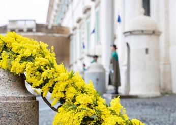 8 marzo, Mattarella celebra Festa della Donna: “Lavorare per diffondere cultura della parità”