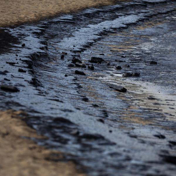 Giallo in Nuova Caledonia: trovato il corpo senza vita di un neonato sulla spiaggia di Noumea