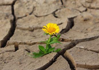 Giornata Mondiale dell’Alimentazione 2023: il tema scelto e tutte le iniziative