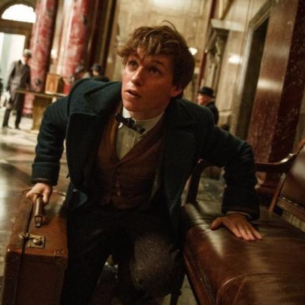 Animali Fantastici 4 si farà? David Yates parla del futuro della saga spin-off di Harry Potter