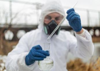 L’aviaria sarà la prossima pandemia, secondo un virologo tedesco, e il mondo non è ancora preparato