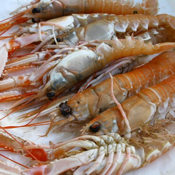 Come cucinare gli scampi: le ricette per non sbagliare