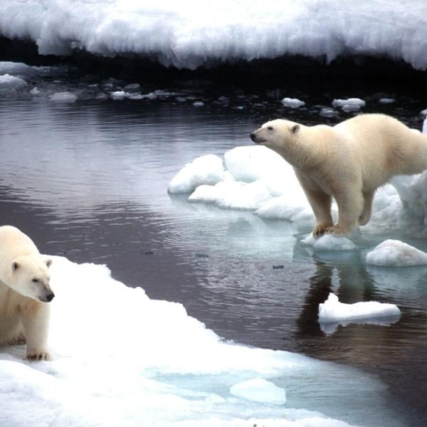 Il riscaldamento globale e l’aumento della temperatura fanno paura, l’WMO: “+1,5 gradi tra il 2023 e il 2027″