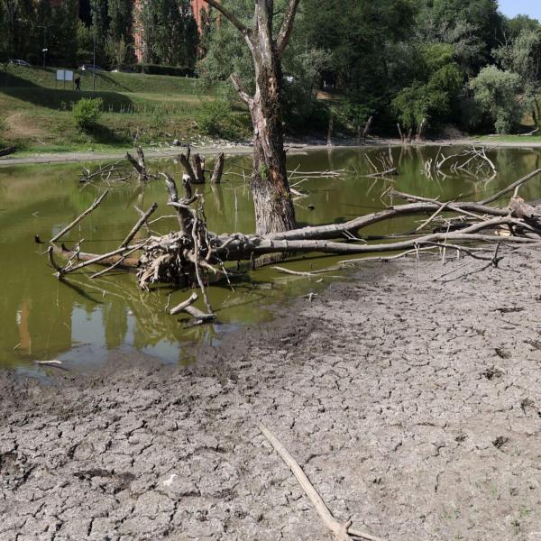 ESCLUSIVA – Emergenza idrica in Toscana, intervista a Marcello Giuntini, sindaco di Massa Marittima