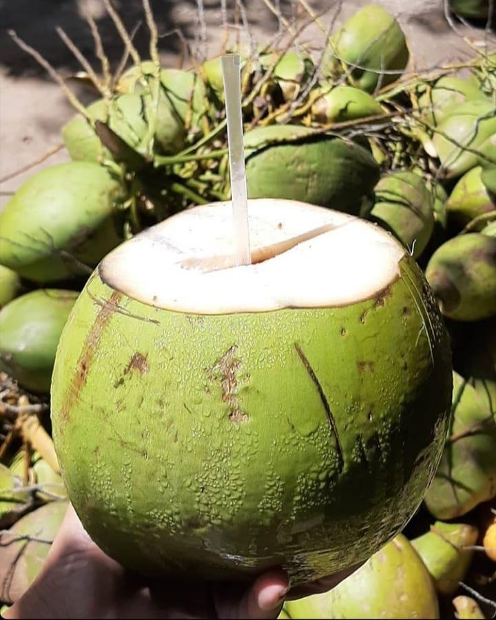 Acqua di cocco: tutti i benefici e perché berla