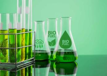 Biocarburanti con oli vegetali esausti per la mobilità sostenibile: ridurre le emissioni inquinanti con la partnership tra il Gruppo Hera e Elior Group