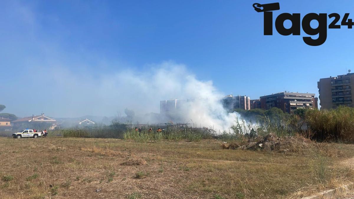 Incendio a Roma oggi, fiamme e fumo alto in viale Ciamarra: cosa è successo? | FOTO e VIDEO