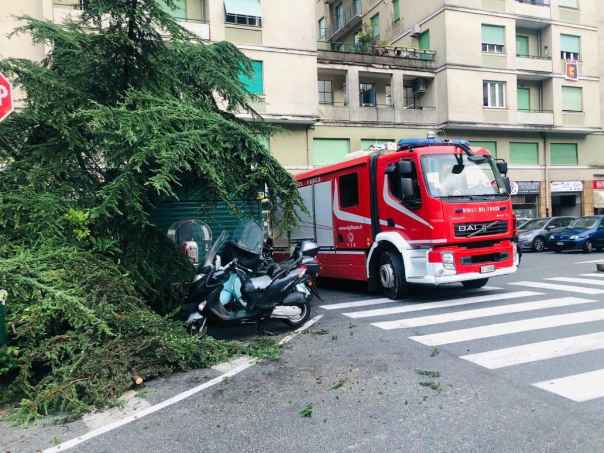 Crotone, maltempo della notte: una tromba d’aria danneggia i tetti di alcuni edifici