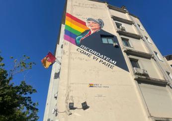 Murales per Michela Murgia, la street-artist Laika a Elly Schlein all’inaugurazione a Roma: “La sinistra dei palazzi torni a essere sinistra” | VIDEO