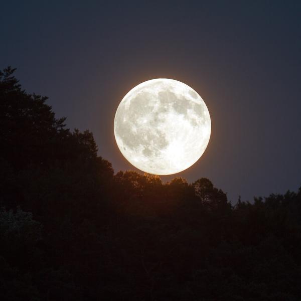 Luna Piena del Cervo 21 luglio 2024: orario, quando vederla e significato. Perchè potrebbe cambiare colore?