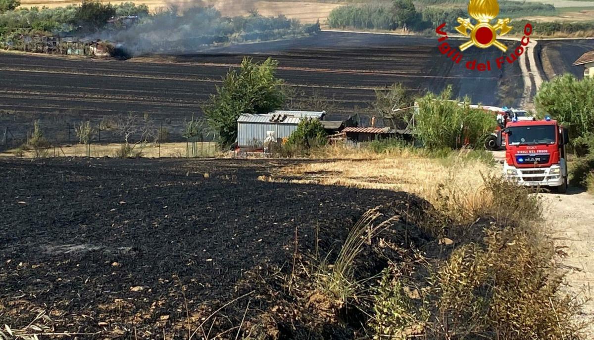 Matera, incastrato con le gambe nella motozappa: morto un pensionato mentre lavorava in un terreno di proprietà