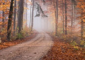 I migliori posti in Italia dove ammirare il foliage