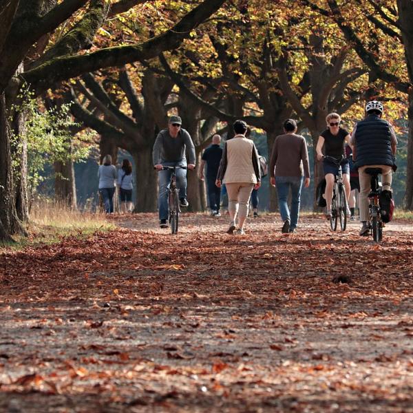 Pensione a 61 anni confermata nel 2025? Occhio a queste 4 misure: l’INPS chiede due requisiti, potresti averli (e non saperlo)