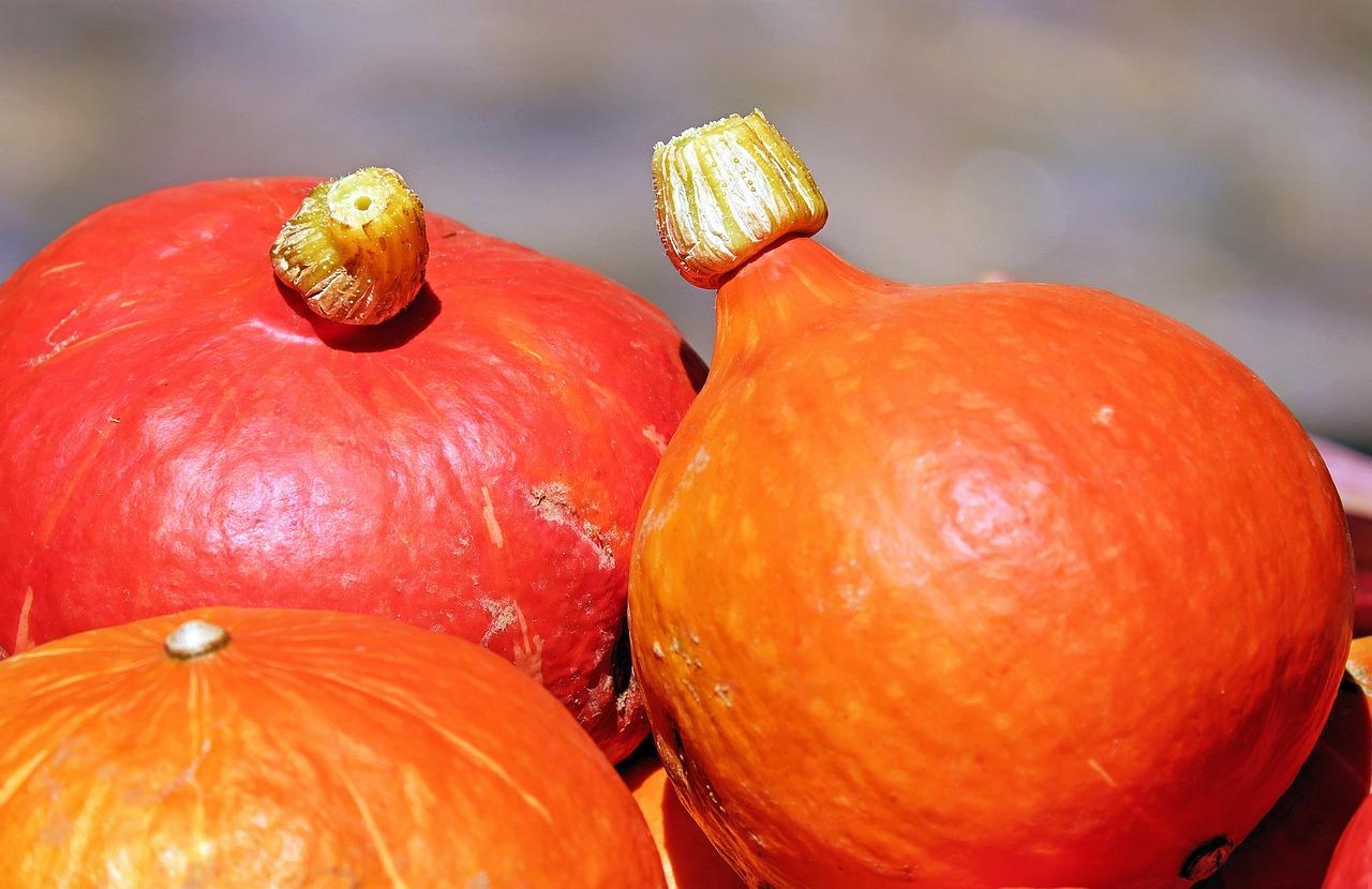 ricette con la zucca Hokkaido