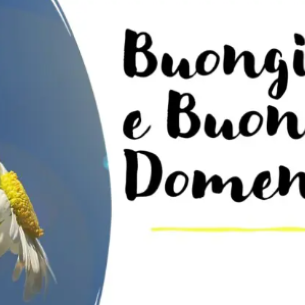 Buongiorno buona domenica 17 marzo 2024, frasi e immagini originali, spiritose e speciali