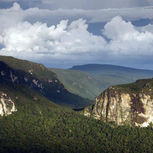 Amazzonia, foresta a rischio estinzione entro il 2050: i dati dello studio sull’ecosistema