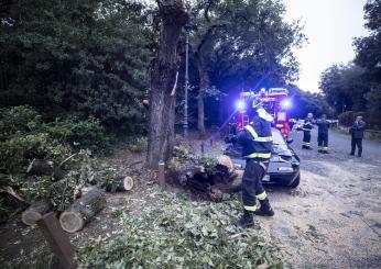 Tragedia Bettola, un ragazzo di 32 anni muore a Missano mentre taglia una pianta