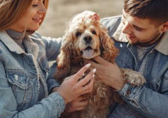 I cani riflettono i livelli di stress del proprietario e non il contrario: nuova ricerca