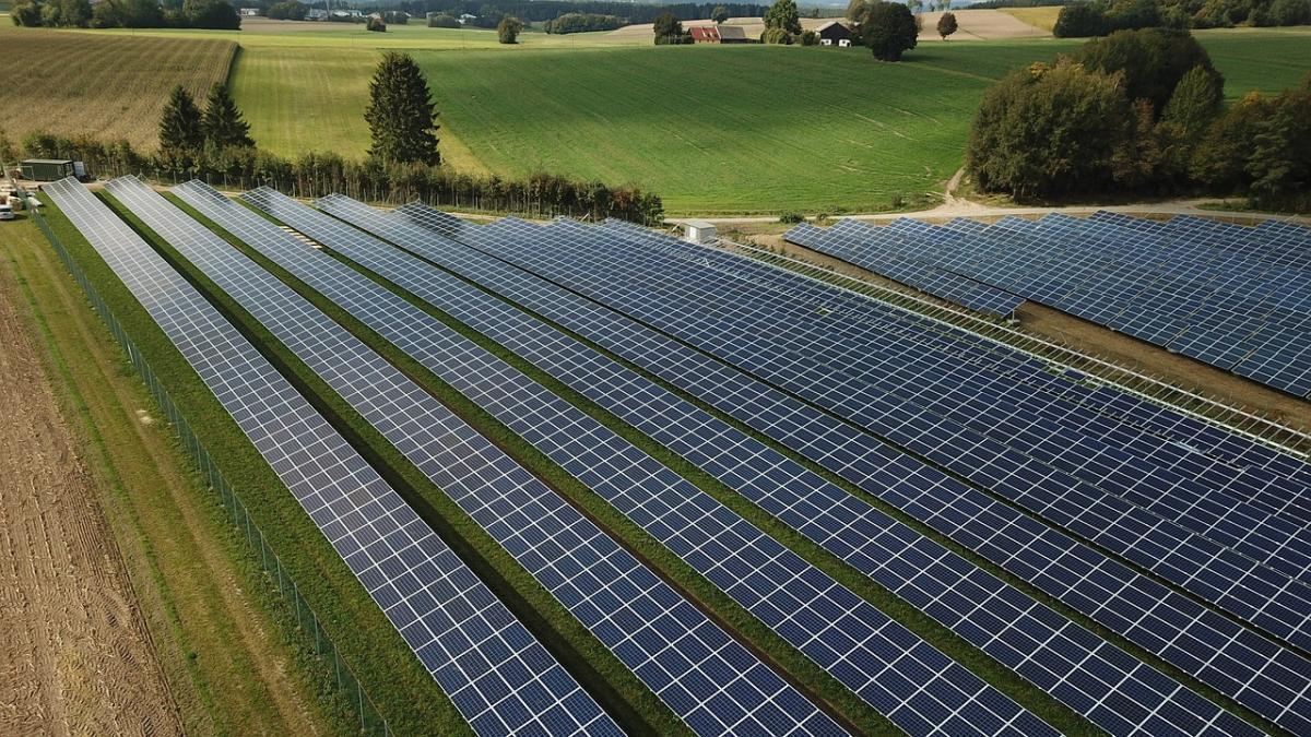 Bonus Agrivoltaico 2024: requisiti, scadenze e come richiedere gli incentivi GSE