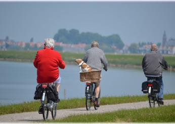 Pensione prima dei 65 anni: le strade possibili a 60, 61 e 64 anni nel 2025