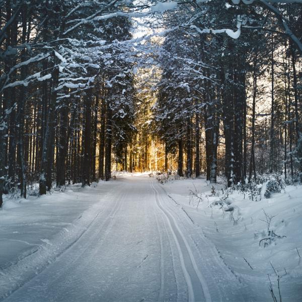 Buongiorno e benvenuto inverno 2023, le più belle frasi e immagini