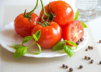 Dal ciliegino al San Marzano: quanti tipi di pomodori esistono?